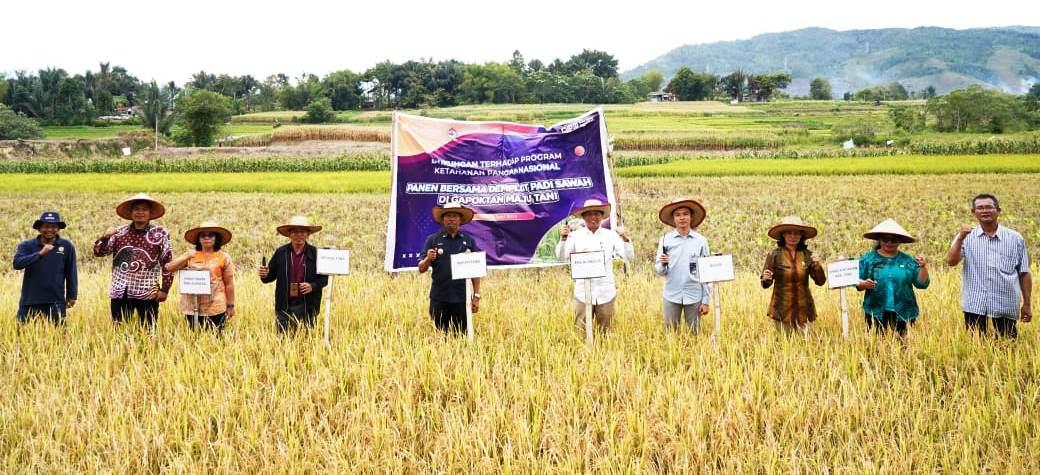 Kepala Perwakilan BI Sibolga Riza Putera,&nbsp;&nbsp;Wakil Bupati Kabupaten Toba Audi Murphy O. Sitorus dan lainnya foto bersama usai melakukan&nbsp;panen&nbsp;padi varietas unggul Gamagora, Kamis (5/6) lalu.