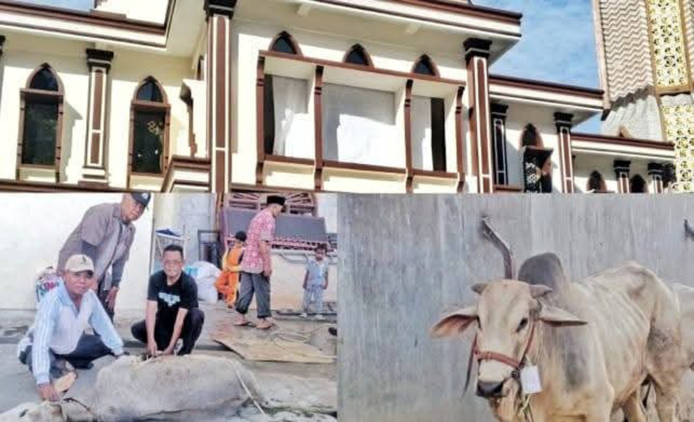 Bupati Simalungun Anton Achmad Saragih menyerahkan satu ekor sapi kurban kepada Masjid Raya Taqwa Parapat, Jumat (6/6/2025).