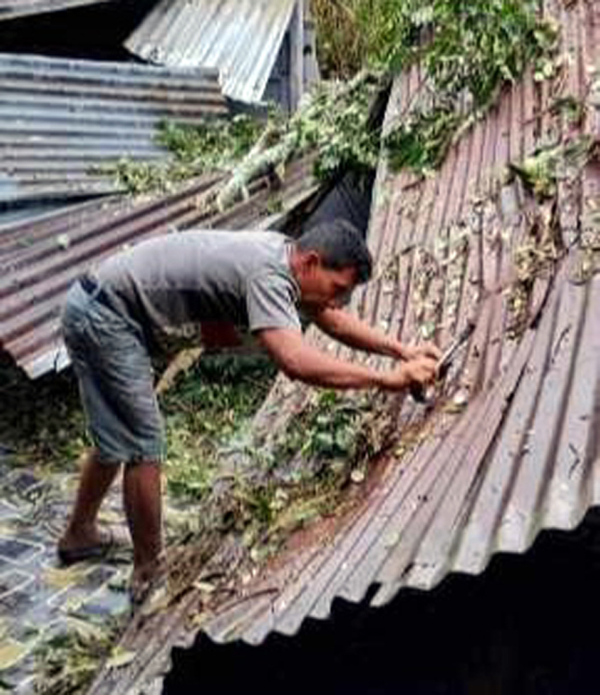 Diterjang angin kencang, rumah janda lansia di Samosir rusak diterjang pohon tumbang.