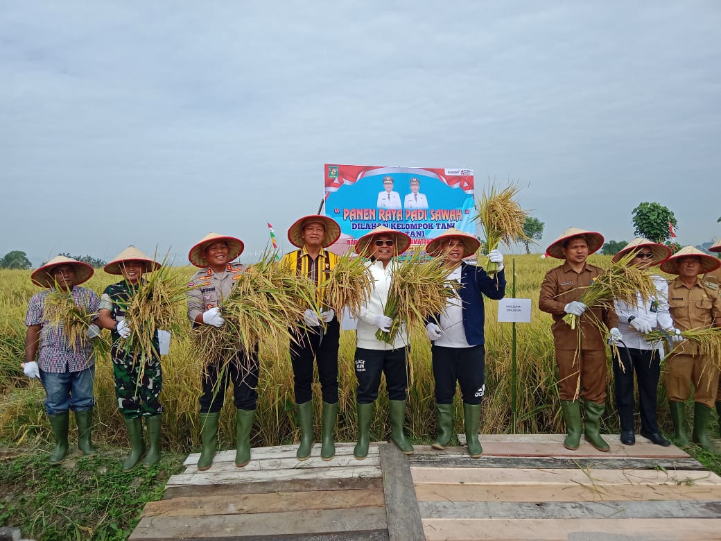 Bupati Simalungun H. Anton Achmad Saragih dan Wakil Bupati menghadiri Panen Raya Padi Sawah di Nagori Muara Mulia, Kecamatan Tanah Jawa, Kabupaten Simalungun, Selasa (24/6/2025).