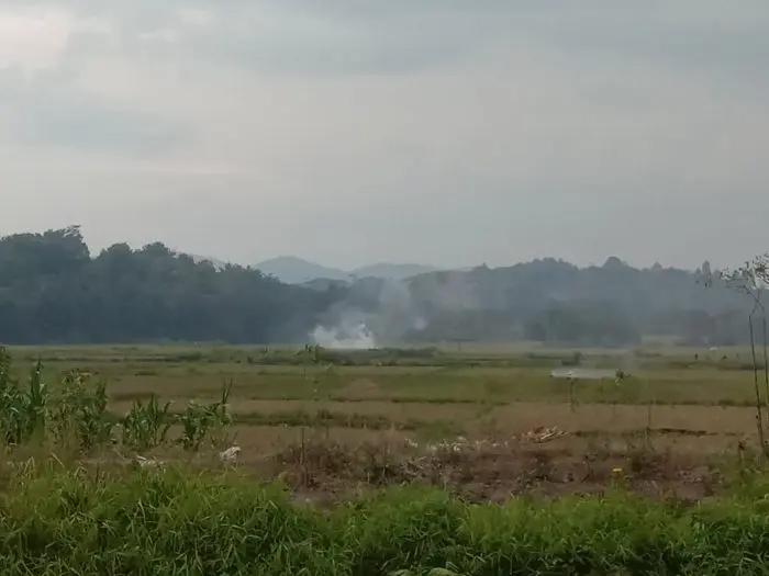 Petani padi di Kecamatan Porsea melakukan pembakaran jerami usai panen.