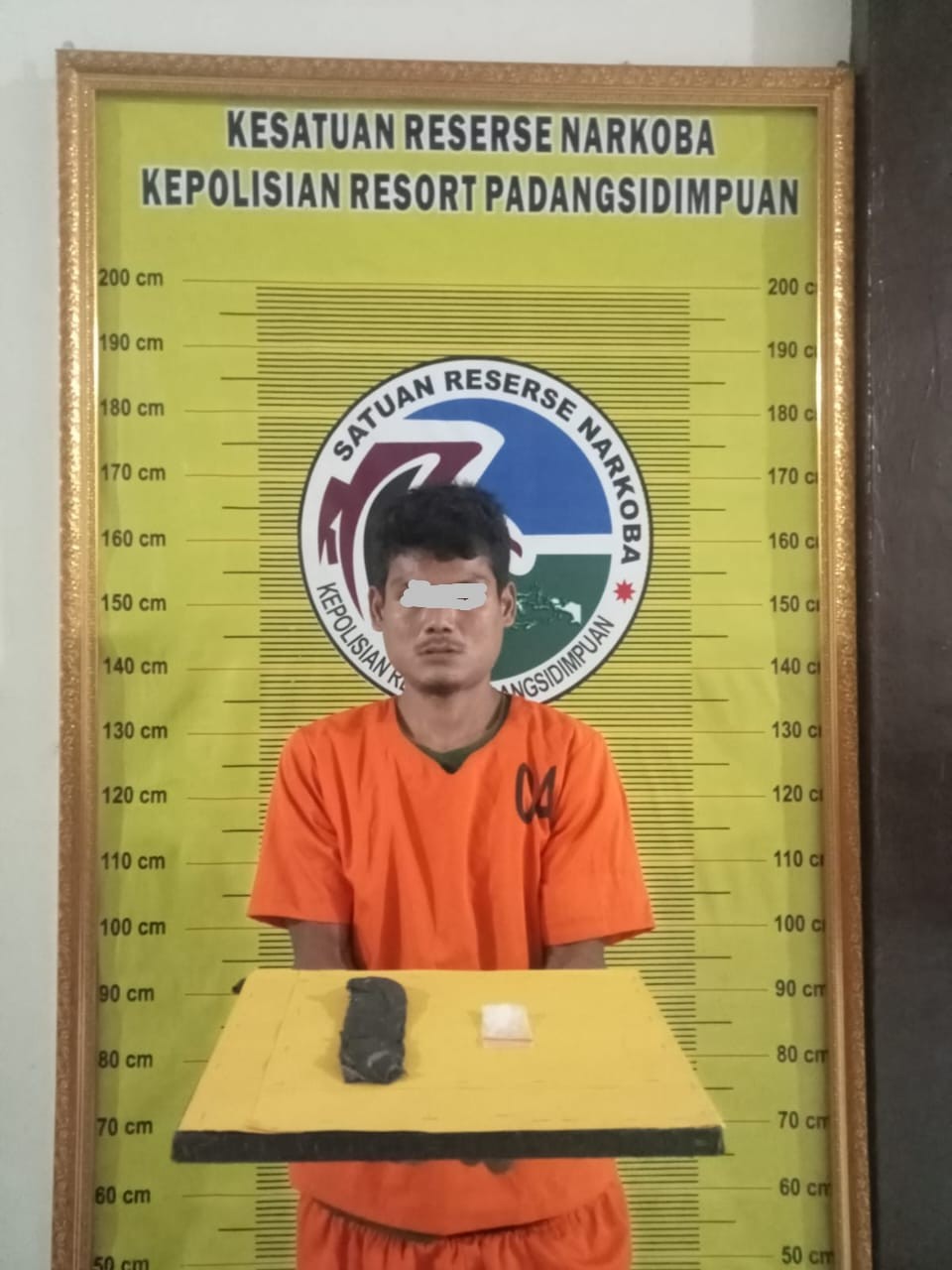 Tersangka pengedar sabu yang diamankan Sat Narkoba Polres Padangsidimpuan.