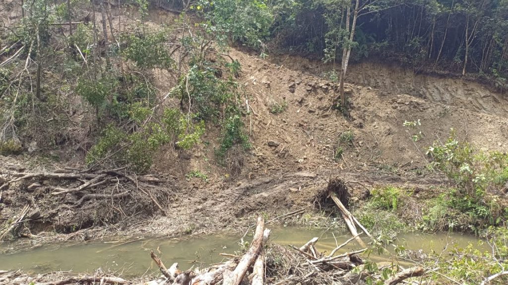 Lokasi penebangan kayu di Tapanuli Utara.