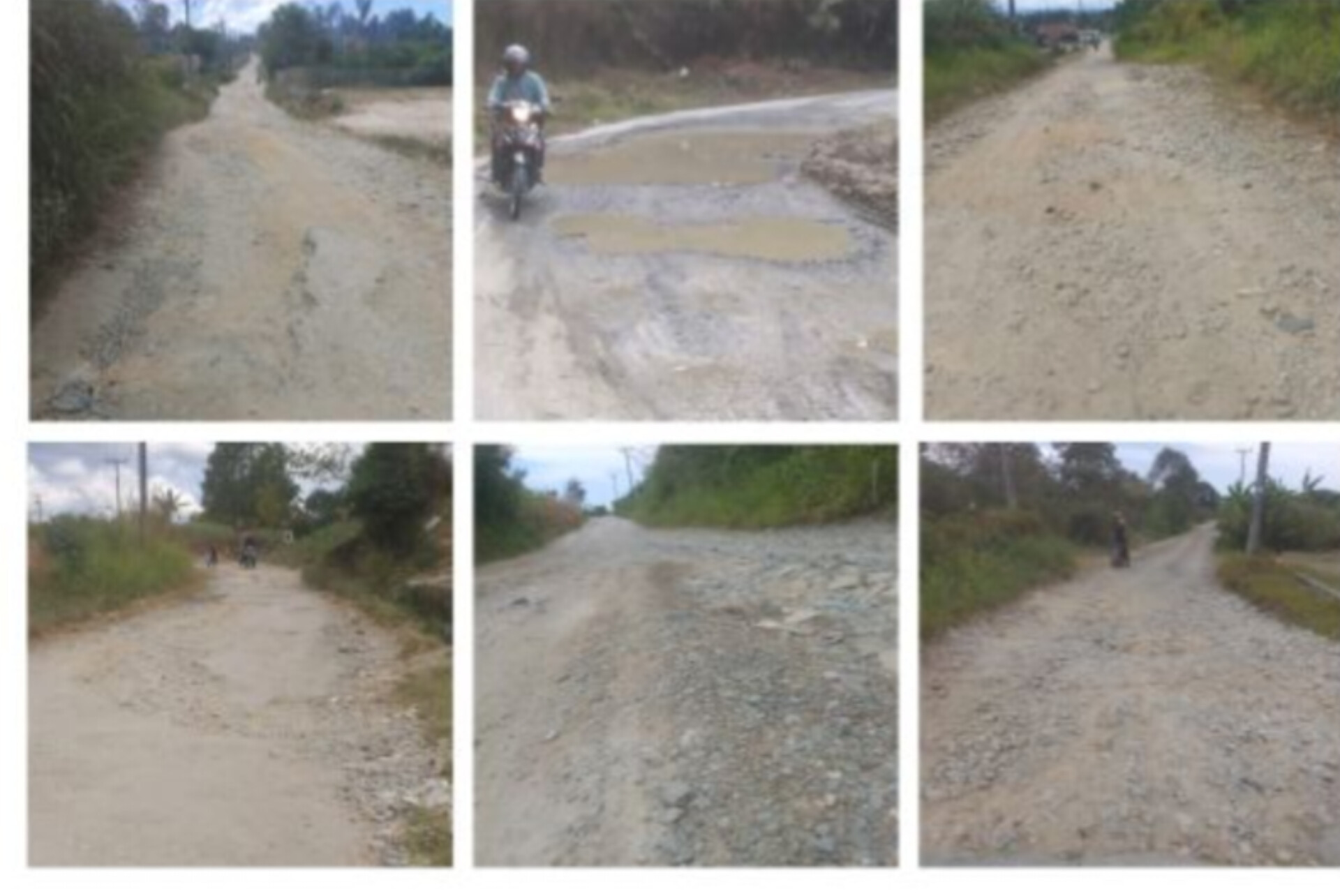 Camat Borbor, James Pasaribu, S.AP., dan kondisi ruas jalan Provinsi Parsoburan&ndash;Borbor hingga perbatasan Kabupaten Tapanuli Utara.