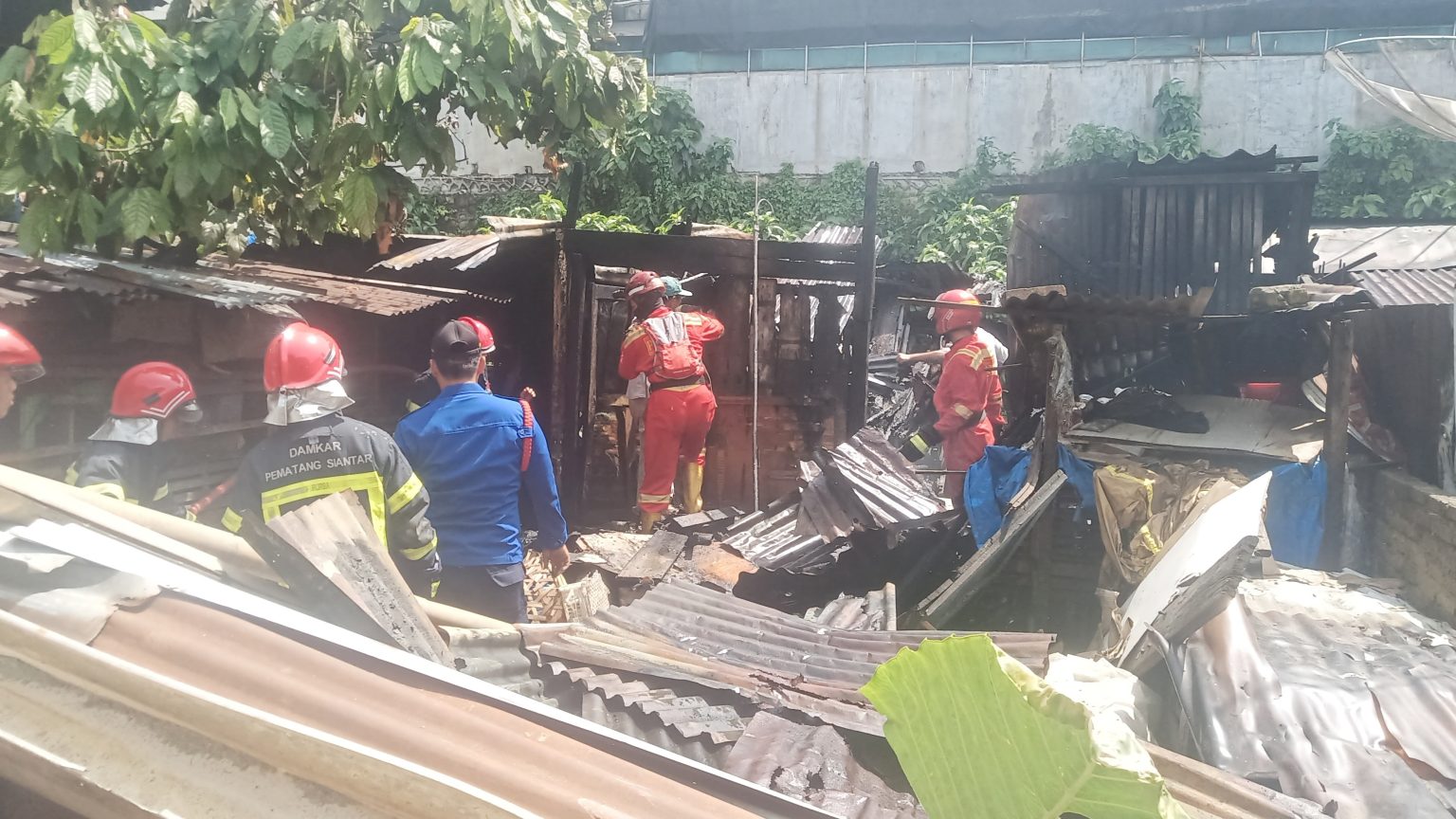 Kandang babi yang terbakar di Jalan Pematang.