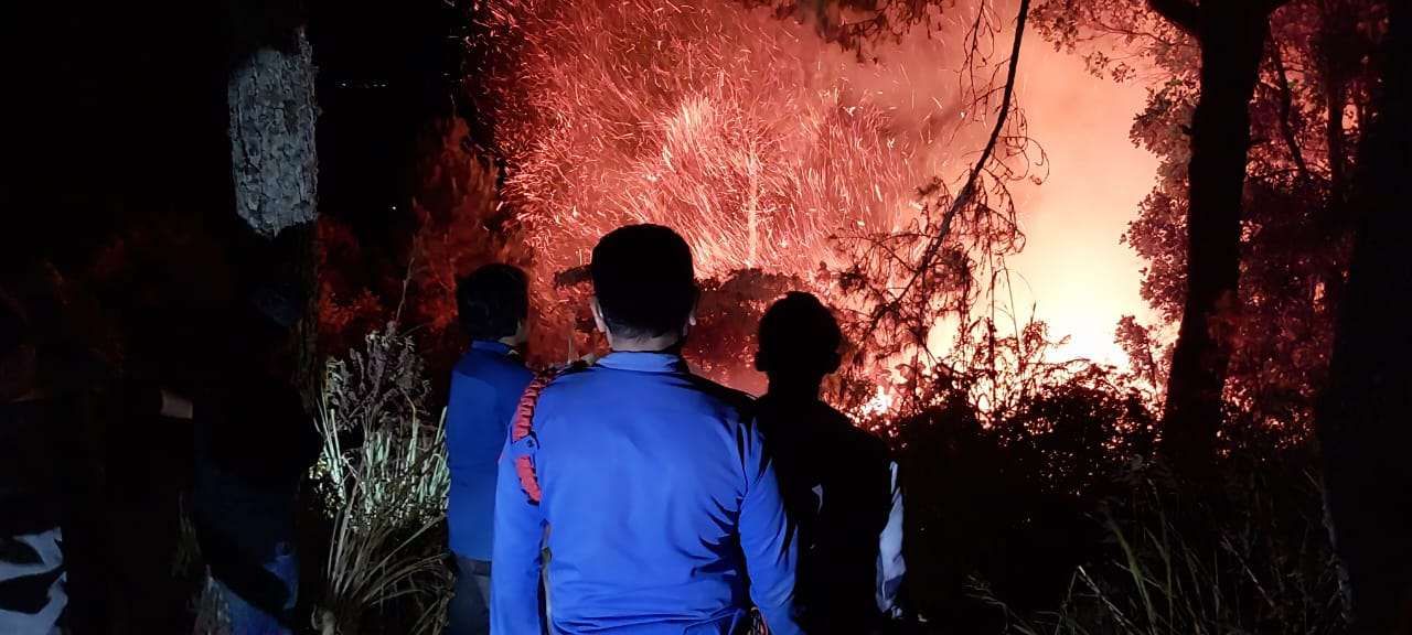 kebakaran hutan di Paranginan, Kabupaten Humbahas, Sumatera Utara.