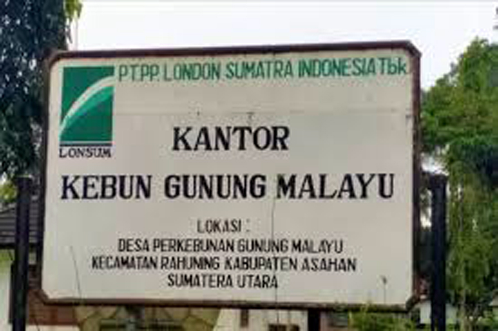 Kantor PT PP London Sumatra (Lonsum) Indonesia Tbk, Kebun Gunung Malayu.