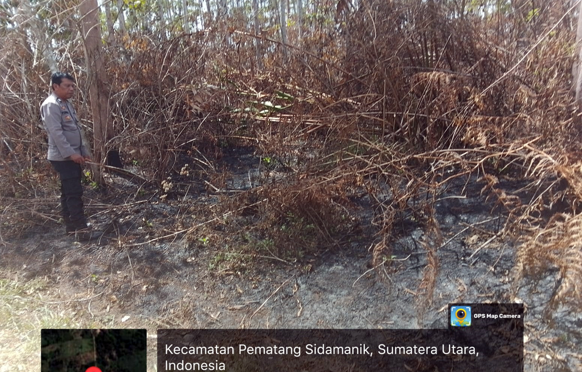 Bekas pembakaran lahan di Dusun Aek Batu Nagori Sihaporas Kecamatan Pematang Sidamanik.