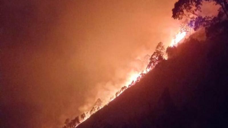 Karhutla di kawasan Danau Toba.