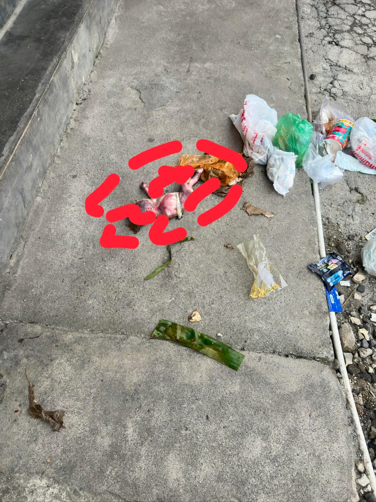 Penemuan sesosok bayi tak bernyawa di Kabanjahe, Selasa (29/07/2025) pagi sekitar pukul 07.00 WIB.