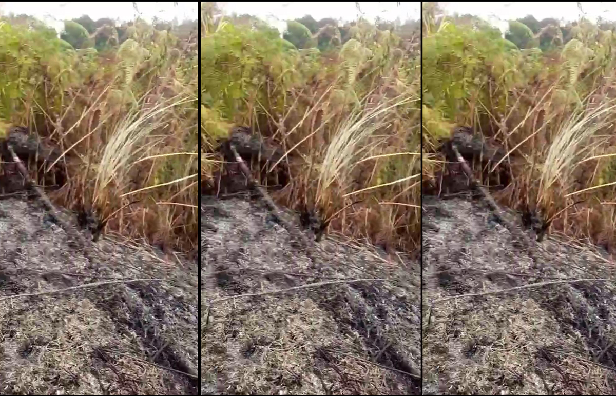 Pipa proyek penyaluran air bBersih yang terbakar pada kebakaran lahan di Pollung, Humbahas, belum lama ini.
