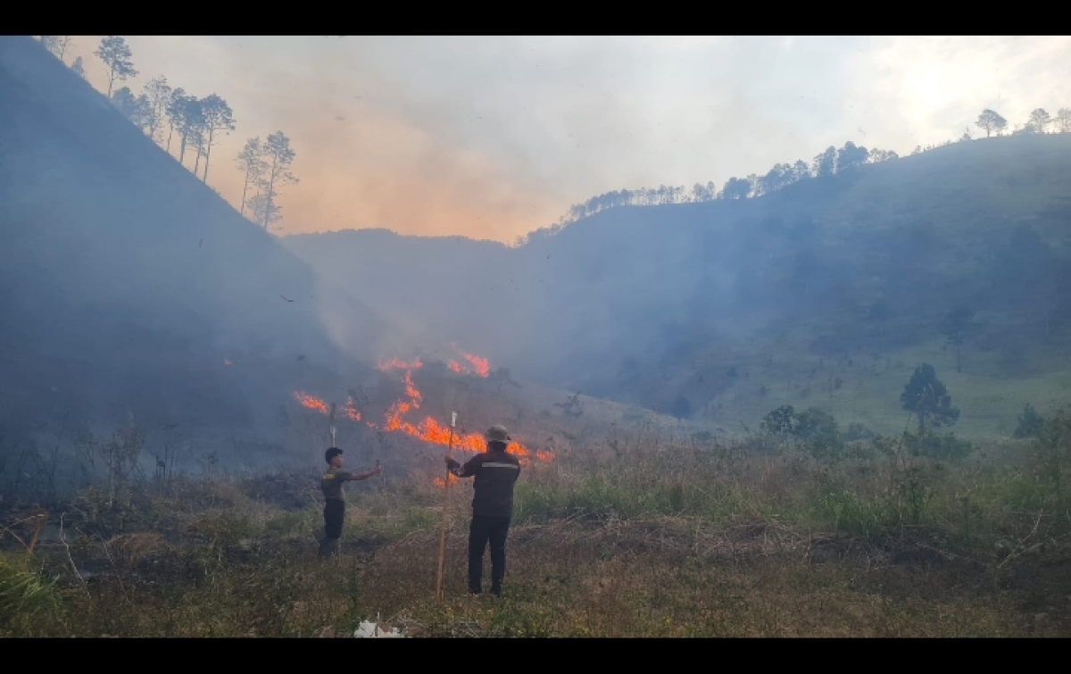 Kebakaran hutan dan lahan (karhutla.