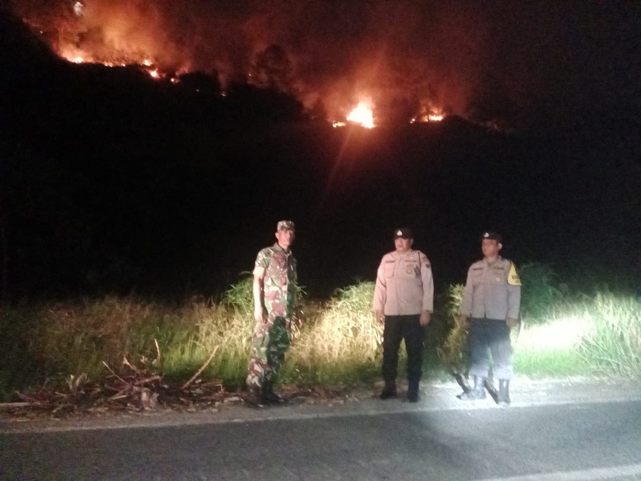 Kebakaran di Perbukitan Sihorbo.