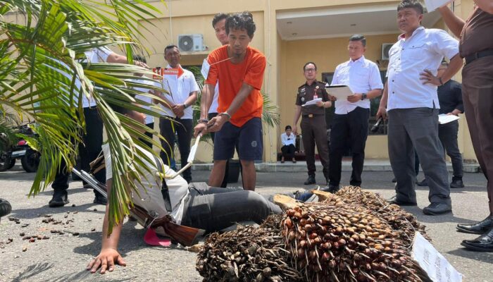 Rekonstruksi peristiwa pembunuhan Anto alias Tomok (59) di Mapolres Labusel, Rabu (6/8).
