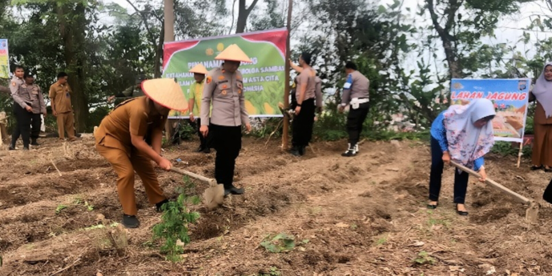 Polsek Sibolga Sambas menanam jagung seluas 4 hektare di Bukit Herek, Jalan Horas, Kelurahan Pancuran Dewa, Selasa (5/8/2025).