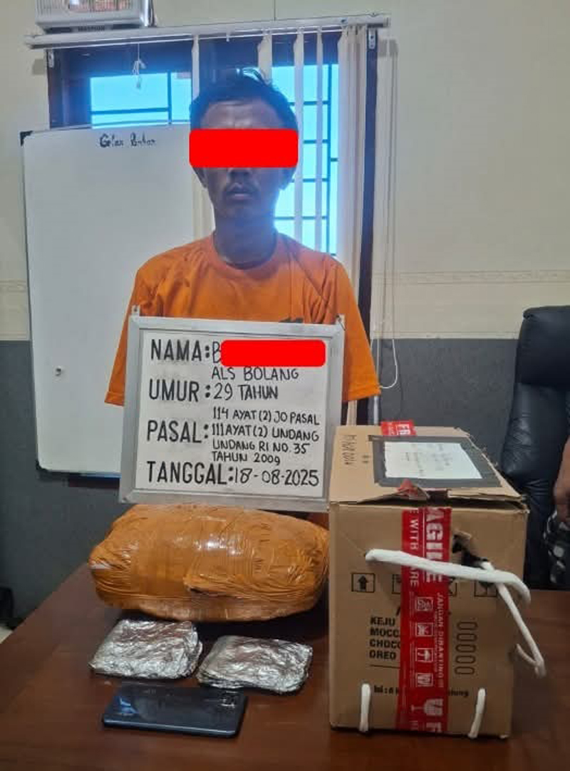 Tersangka BH beserta barang bukti ganja setelah diamankan polisi.