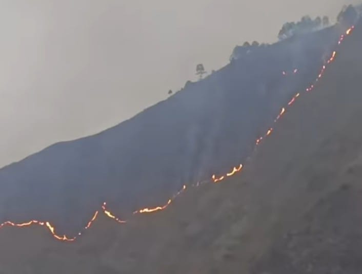 Api membakar hutan dan lahan di Haranggaol hingga mendekati pemukiman warga.