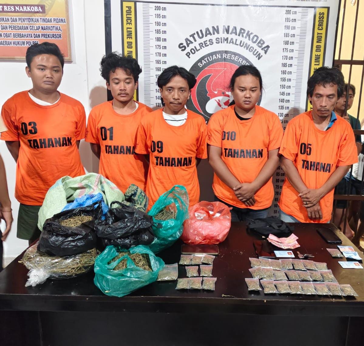 Lima anggota jaringan narkoba di kawasan Danau Toba saat diamankan polisi.