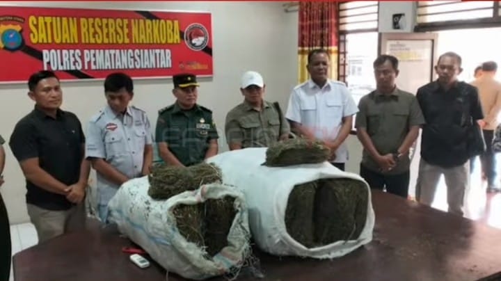 Ganja yang diamankan Sat Narkoba Polres Gayo Lues.