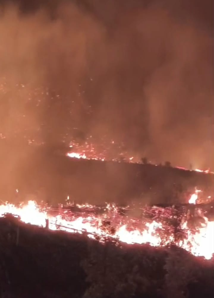Salah satu lahan warga yang terbakar di Desa Hajoran dan Desa Nabonggal, Kecamatan Padang Bolak, Paluta.