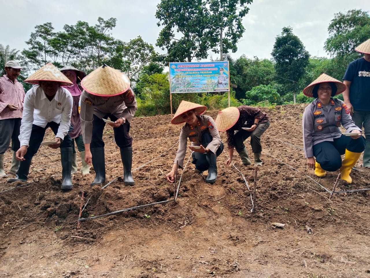 Penanaman jagung di halaman Balai Bolon GKPS, Siantar.