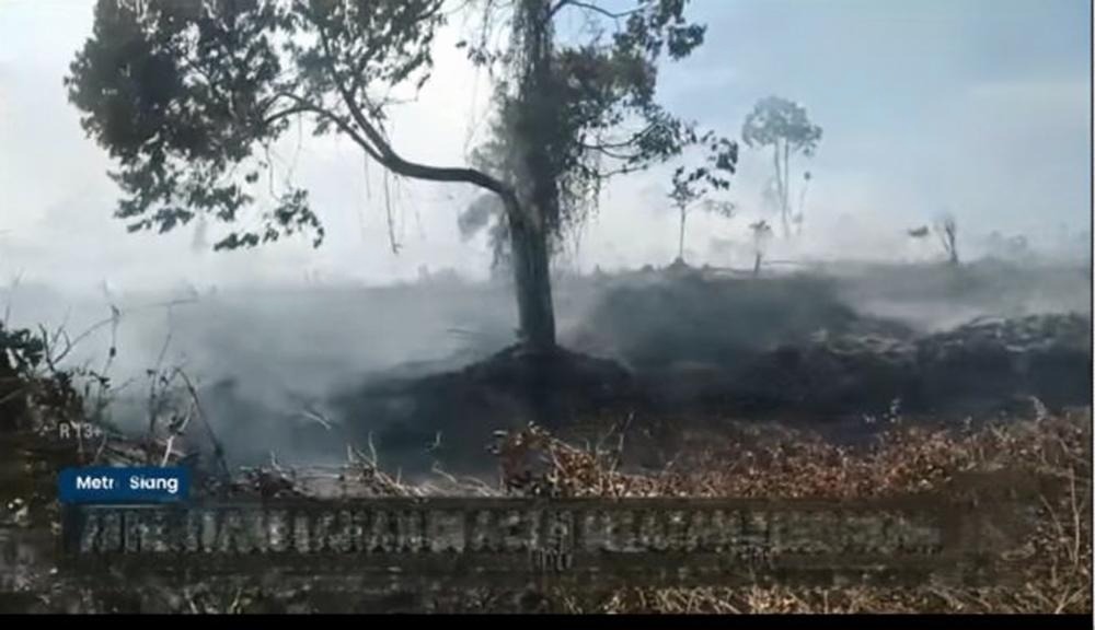 Petugas Damkar dan relawan saat berupaya memadamkan kebakaran lahan seluas puluhan hektare di Aceh Selatan.