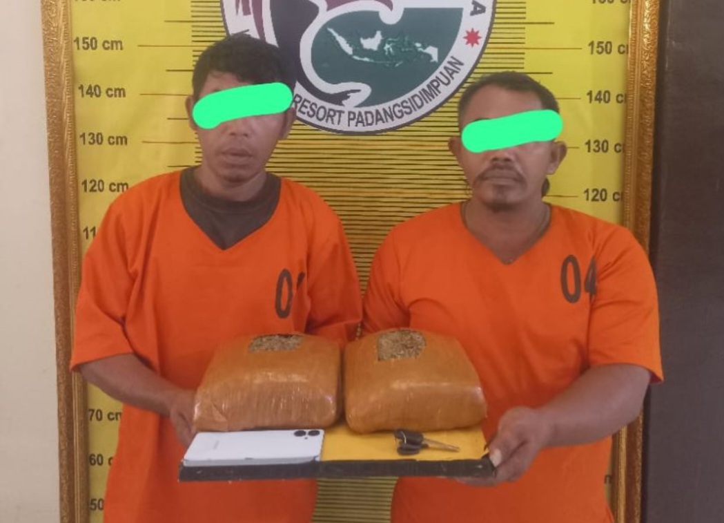 Polres Padangsidimpuan menunjukkan dua tersangka bersama barang bukti ganja 2,1 kg yang disita dari dalam jok motor.