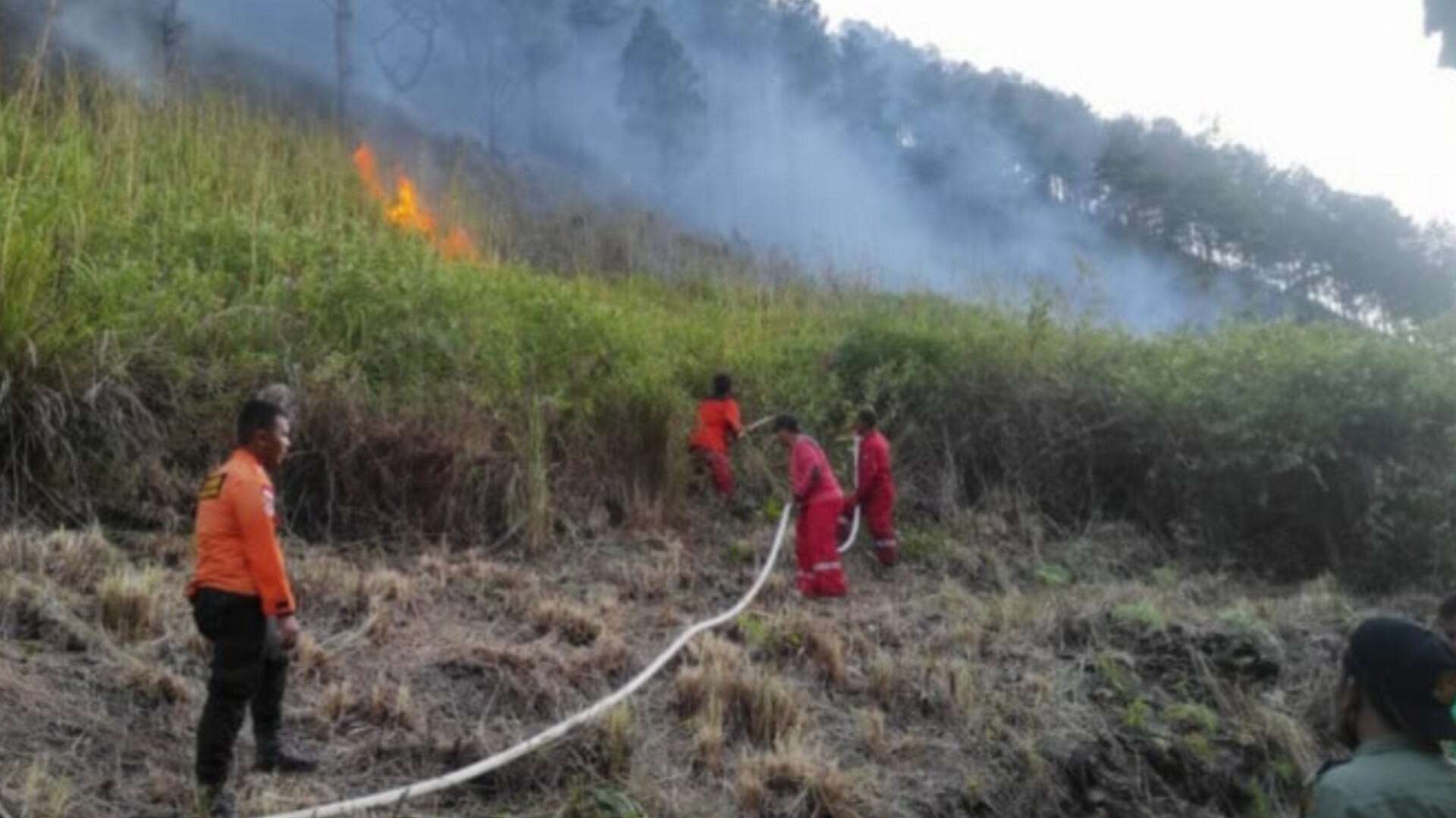 Asap kebakaran hutan dan lahan terlihat di kawasan Jalan Lintas Tele, Kabupaten Samosir, Sabtu (6/9/2025).