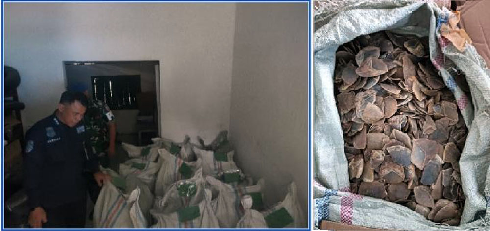 Bripka AHS, oknum Polres Asahan tersangka kasus perdagangan ilegal sisik trenggiling, hingga kini belum ditahan meski berkas sudah P21.
