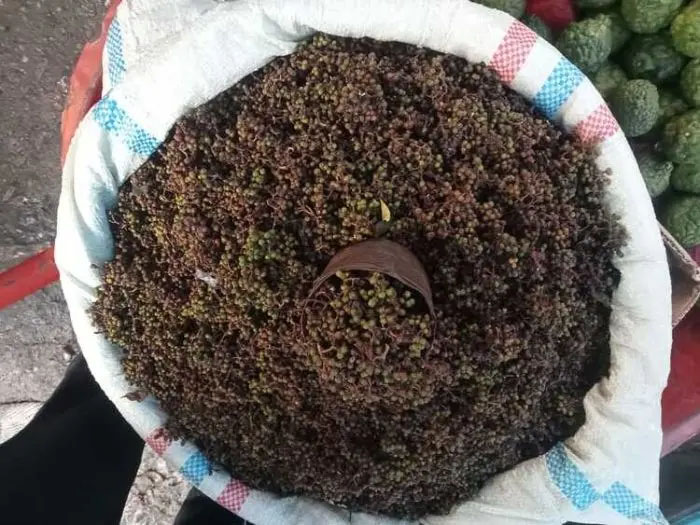 Tanaman andaliman yang harganya tembus Rp260 ribu/kg dinilai DPRD Toba bisa jadi peluang emas meningkatkan ekonomi petani.