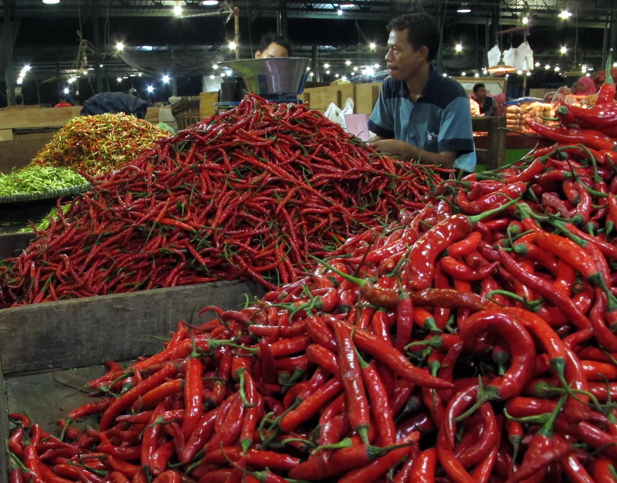Harga cabai merah di Sumut tembus Rp100 ribu per kilogram di beberapa daerah.