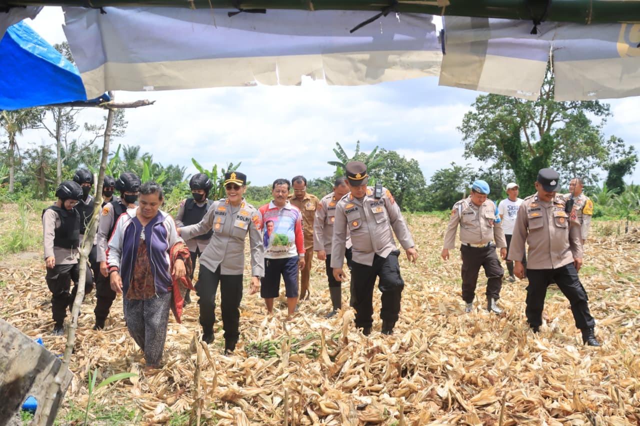 Kapolres Pematangsiantar AKBP Sah Udur Togi Marito Sitinjak saat meninjau lahan jagung di Kelurahan Tong Marimbun.