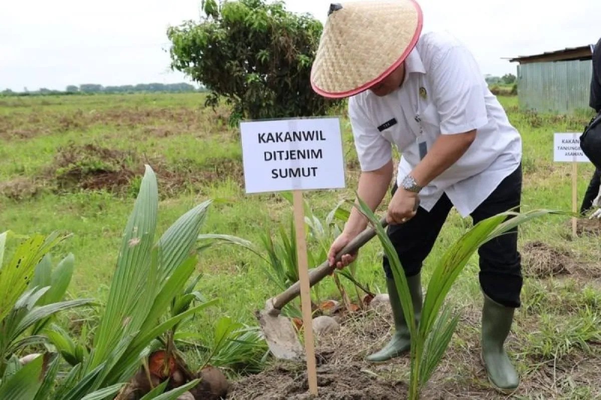 Kepala Kanwil Imigrasi Sumut Teodorus Simarmata melakukan penanaman bibit kelapa secara simbolis di Simalungun.