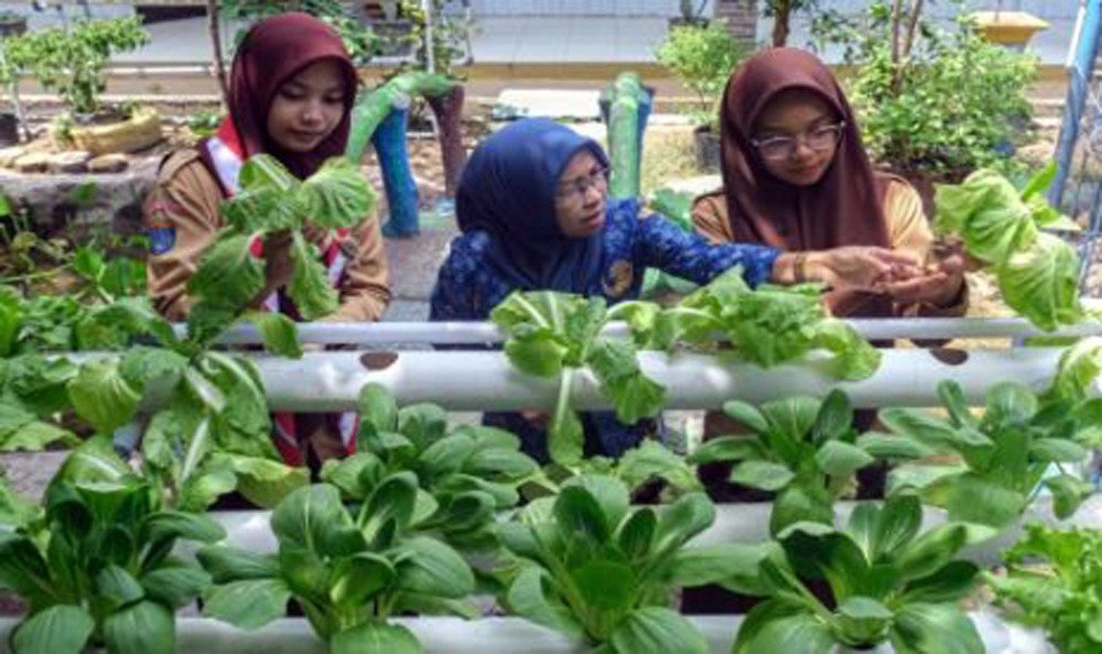 Guru pembimbing mengawasi siswi memeriksa sayuran hidroponik di kebun Sekolah SMPN 2 Kendari.