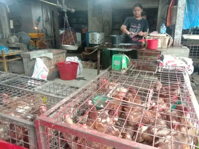 Pedagang ayam potong di Pasar Onan Laguboti mematok harga lebih tinggi dibanding pasar tradisional lain di Balige.