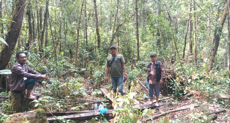 Warga bersama pegiat lingkungan menemukan bekas potongan batang kayu di dalam Hutan Wisata Situmorang Tele, Kecamatan Harian, Samosir, Selasa (23/9/2025).