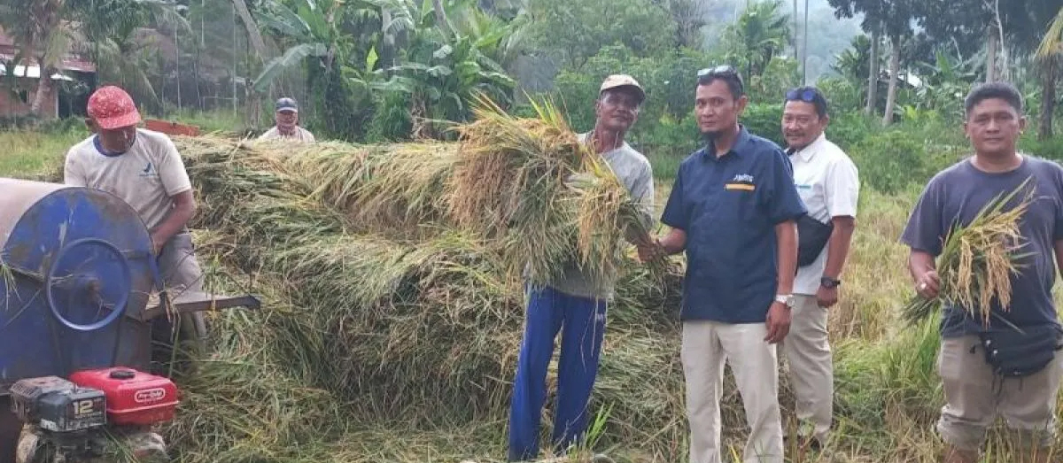 Perum Bulog Cabang Padangsidimpuan menyosialisasikan penyerapan gabah kering panen kepada kelompok tani di Desa Sidadi 1, Batang Angkola, Tapanuli Selatan.
