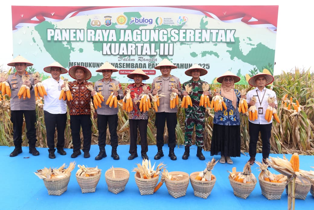 Wakapolda Sumut Brigjen Pol. Rony Samtana bersama Forkopimda Deli Serdang saat menghadiri Panen Raya Jagung Serentak Kuartal III di Desa Telaga Sari, Sabtu (27/9/2025).