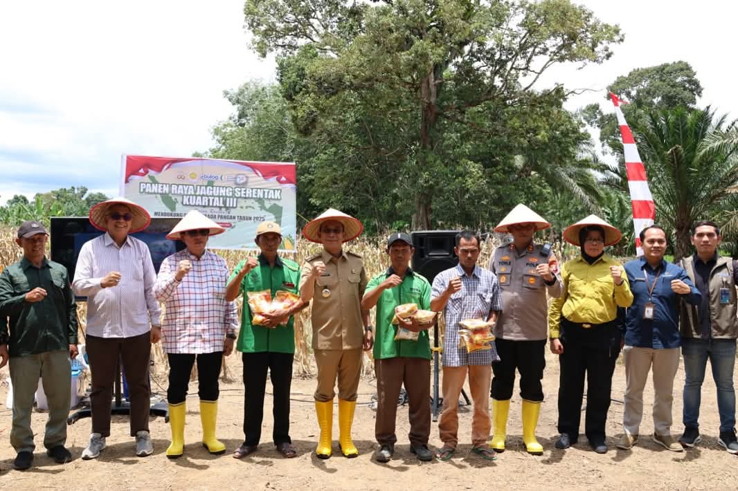 Bupati Tapsel H. Gus Irawan Pasaribu bersama Forkopimda menghadiri Panen Raya Jagung Serentak Kuartal III di Desa Sumuran, Batang Toru.