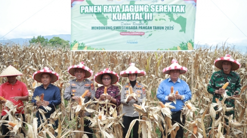 Kapolres Samosir AKBP Rina Frillya bersama petani panen raya jagung di Desa Situngkir.