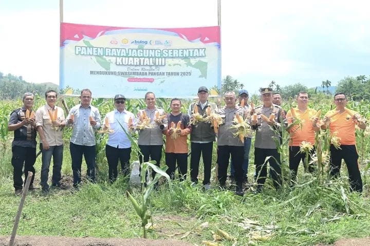 Wali Kota Padangsidimpuan Letnan Dalimunthe bersama Kapolres Wira Prayatna menghadiri Panen Raya Jagung Serentak Kuartal III di Desa Purwodadi.