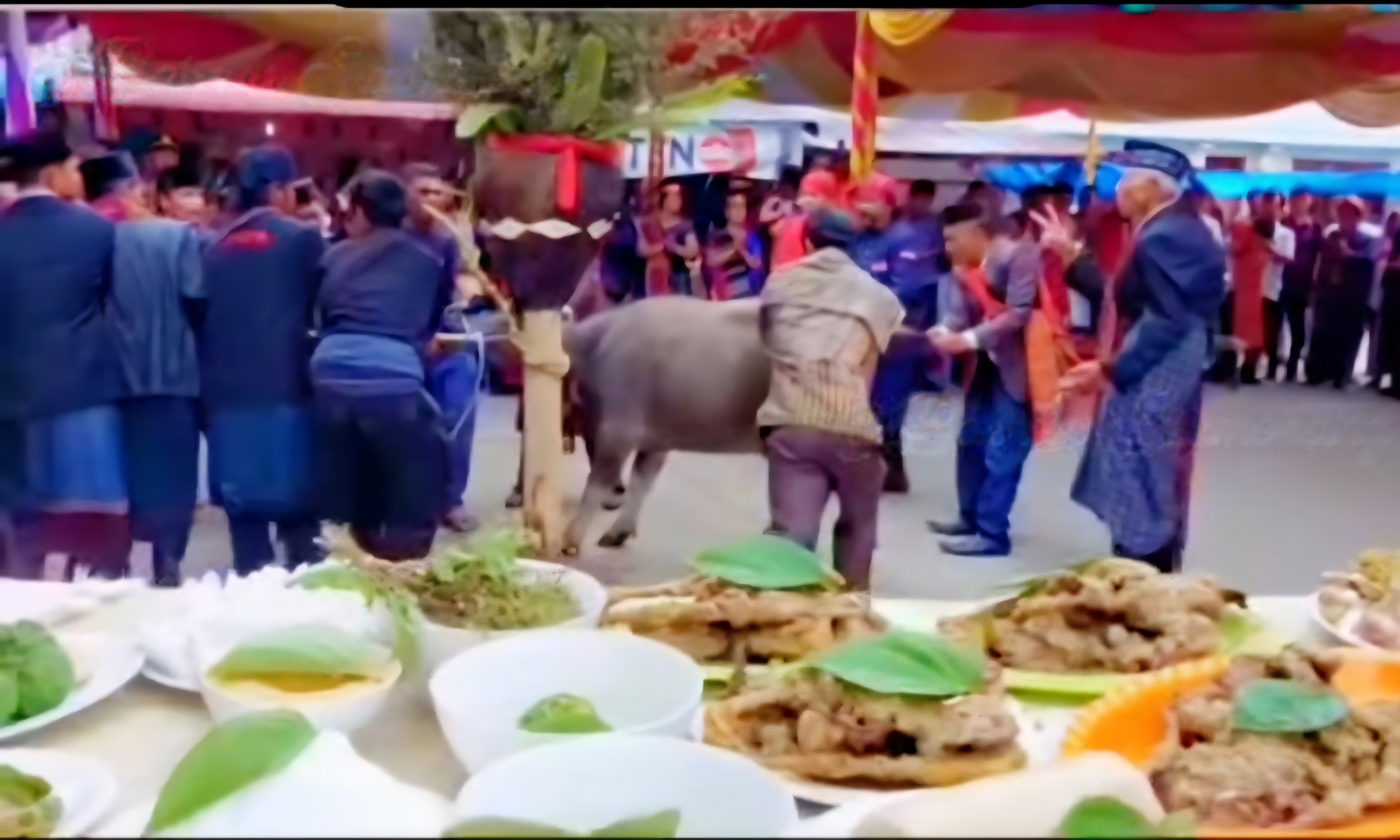 Bupati Samosir Vandiko T. Gultom bersama jajaran Pemkab Samosir dan tokoh adat menghadiri prosesi sakral Horja Bius &ldquo;Mangalahat Horbo&rdquo; di Onan Sipulo, Kecamatan Palipi, Jumat (3/10/2025).
