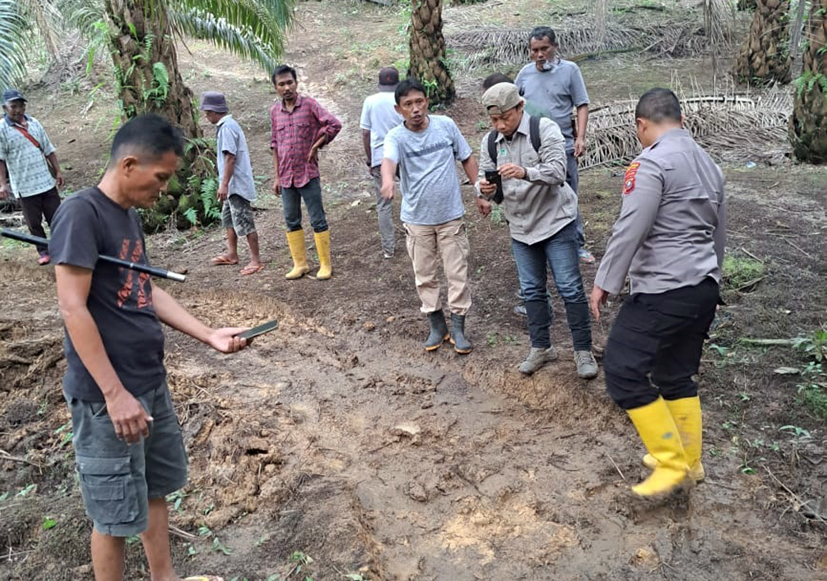 Tim BBKSDA bersama Pemerintah Kecamatan Sibabangun saat mengidentifikasi jejak hewan di Dusun 2 Desa Anggoli, Kecamatan Sibabangun, Jumat (3/10/2025).