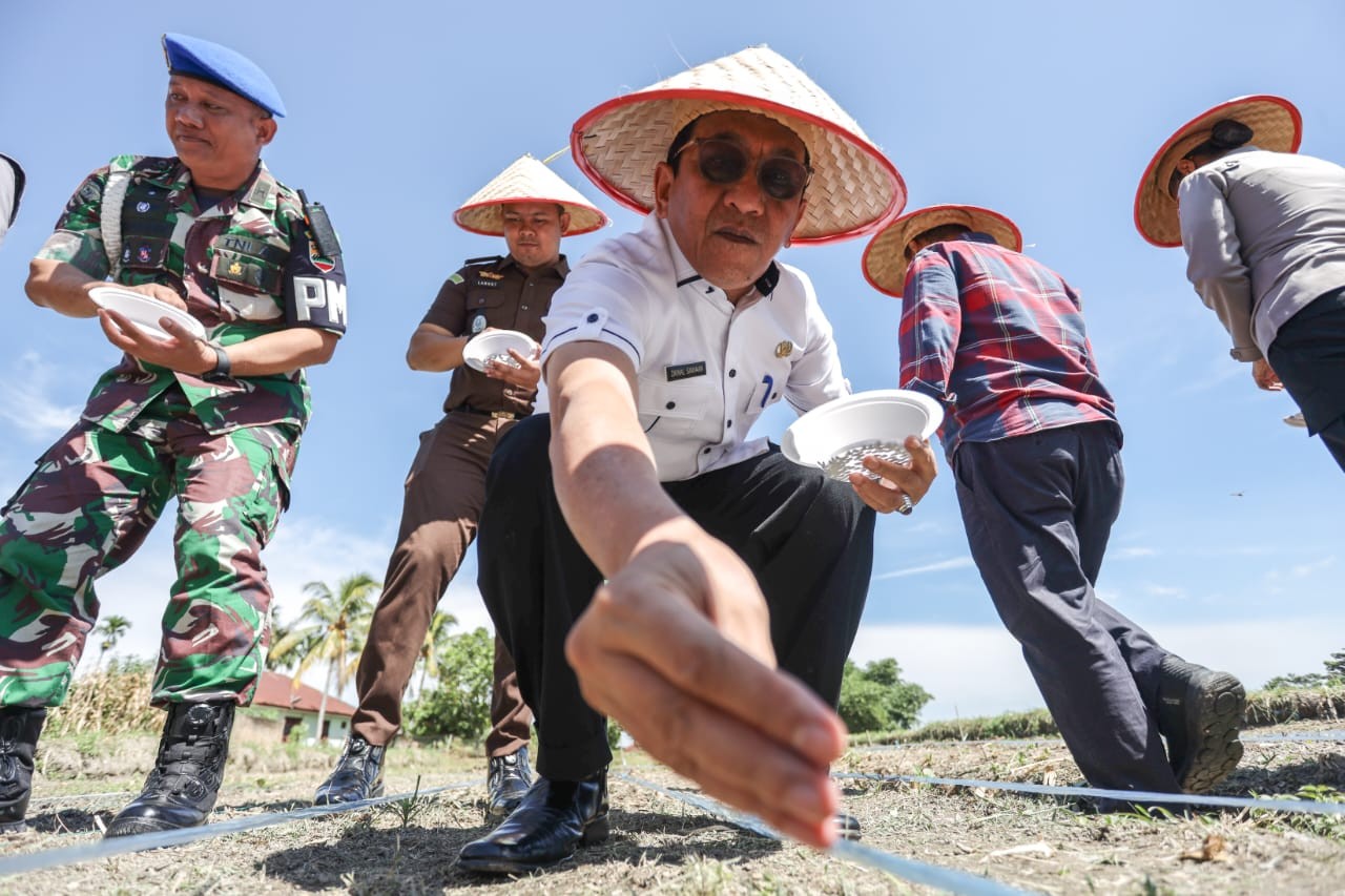 Penanaman jagung serentak di Jalan Bahkora II, Kelurahan Marihat Jaya, Kecamatan Siantar Marimbun.