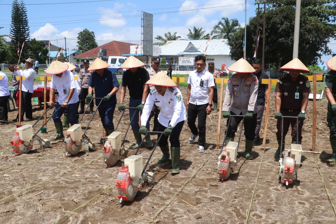 Penanaman jagung serentak oleh Polres Simalungun di Nagori Purbasari Kecamatan Tapian Dolok, Rabu (8/10)