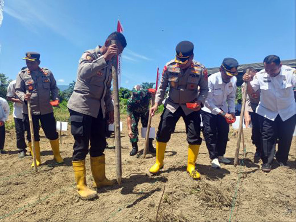 Kapolres Palas AKBP Dodik Yulianto bersama Pemkab Palas menanam jagung di Desa Bulusonik, dukung ketahanan pangan dan swasembada pangan nasional.