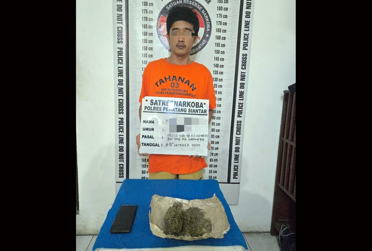 Petugas Sat Resnarkoba Polres Pematangsiantar mengamankan DUS (20), pengedar ganja yang ditangkap di area ladang di Jalan Bahkora II, Kelurahan Marihat Jaya, Kecamatan Siantar Marimbun.