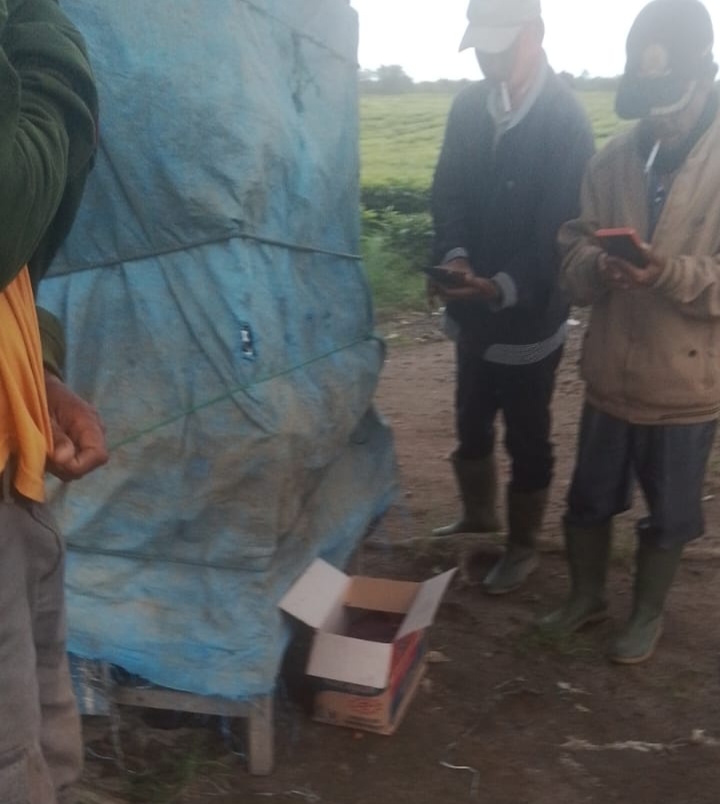 Bayi dalam kardus yang ditemukan di kebun teh Tiba Sari, Kecamatan Sidamanik.
