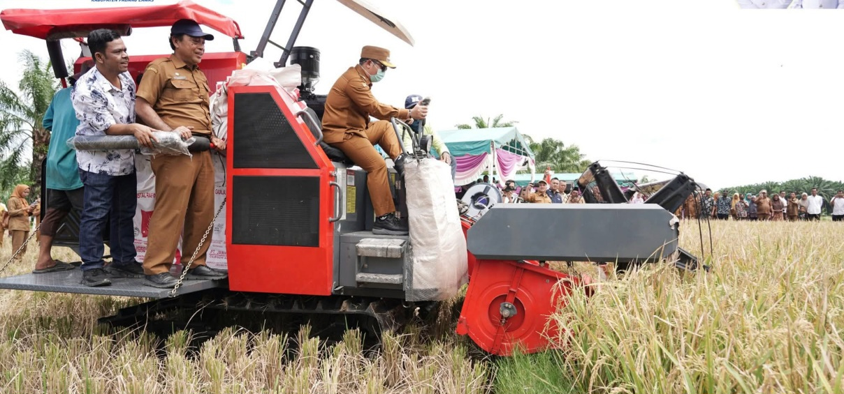 Bupati Padanglawas, Putra Mahkota Alam Hasibuan, mengemudikan langsung traktor jenis combine harvester saat panen raya padi di Barumun Barat.