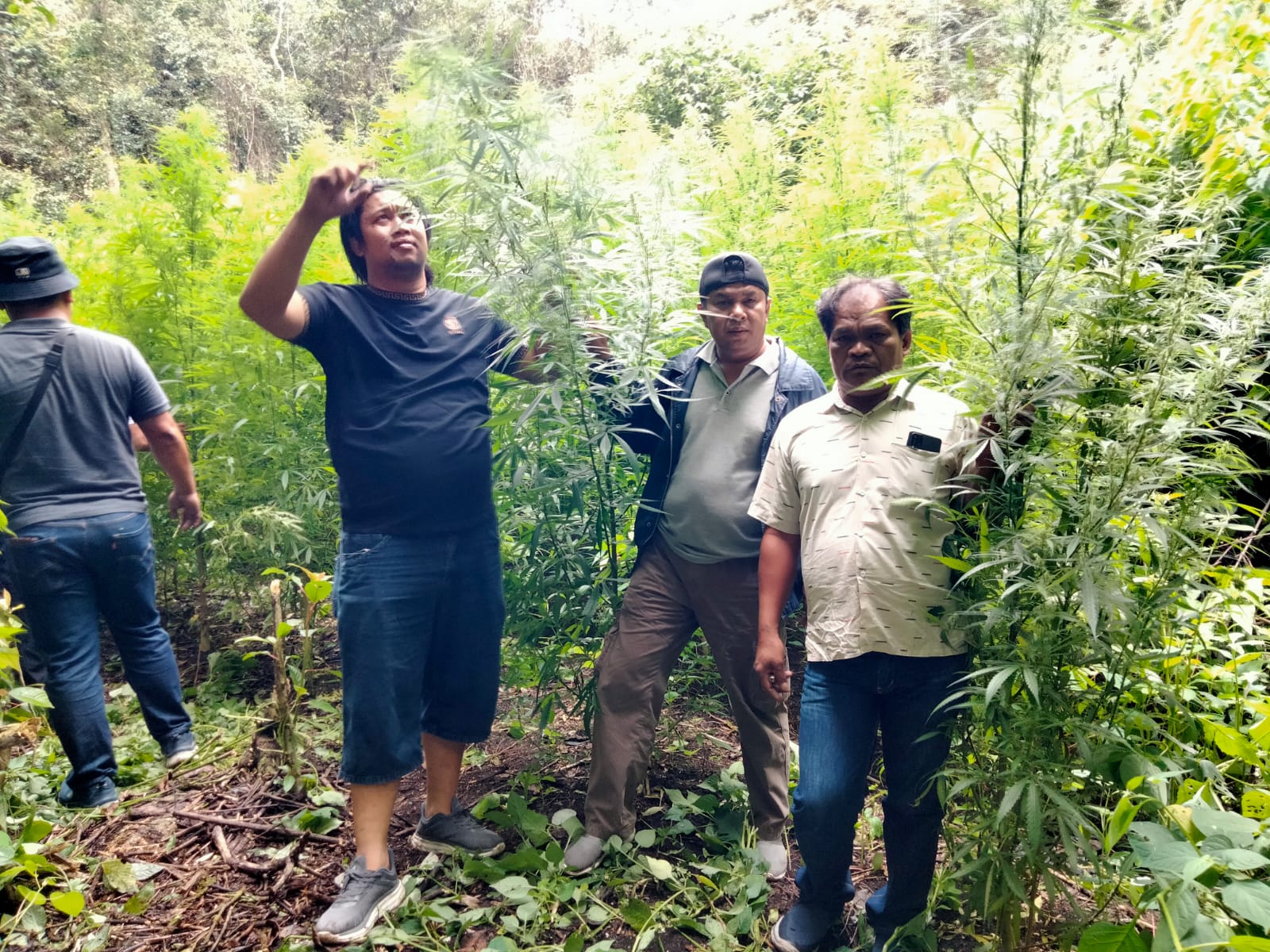 Personel Kodim 0205/Tanah Karo saat meninjau lokasi ladang ganja di Desa Pancur Batu, Kecamatan Merek, Kabupaten Karo, Jumat (24/10/2025).